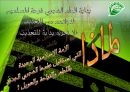 العام الهجري